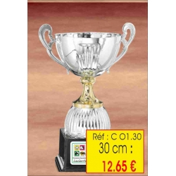 COUPE : REF. CO1 - 30 CM